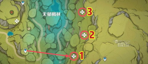 原神劫波莲高效采集法