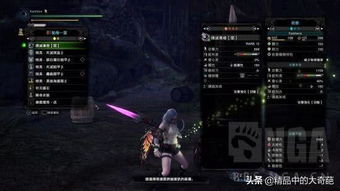 怪物猎人崛起曙光DLC虫棍配装攻略 怪物猎人崛起曙光DLC虫棍配装攻略