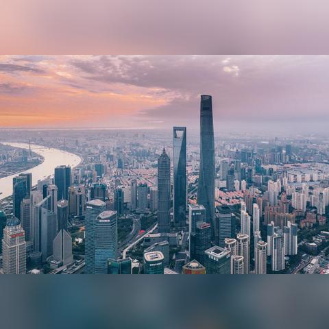 《怪物猎人崛起》采集道具关键点位与环境生物分布