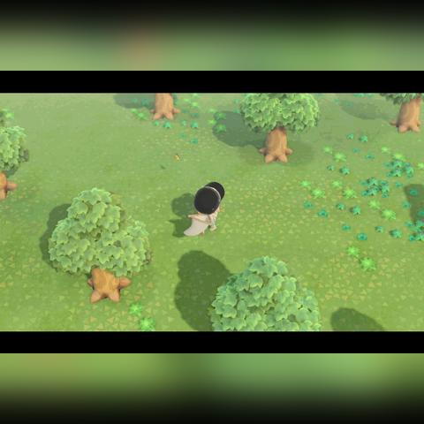 《动物森友会》五一活动时间预告