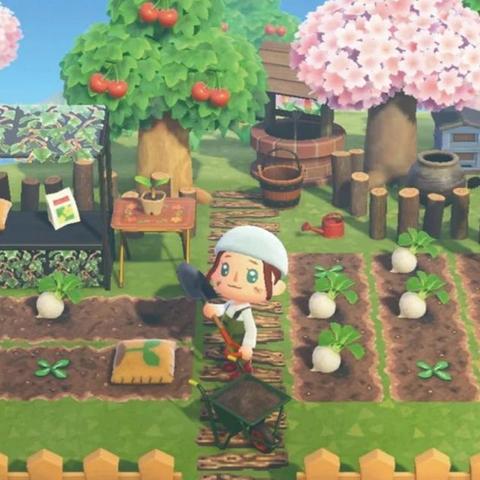 《动物森友会》快乐家协会评分标准