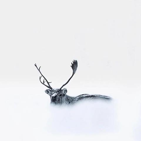 《我的世界》圣诞老人雪橇车制作攻略 《我的世界》圣诞老人雪橇车制作攻略