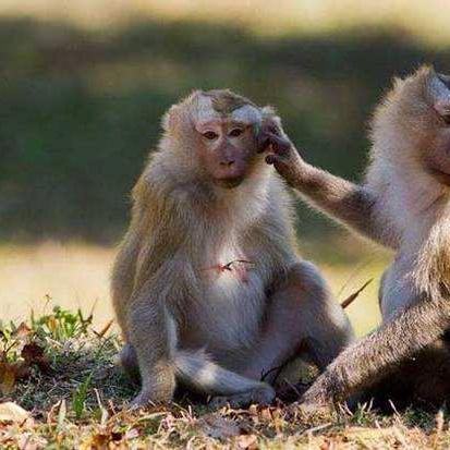 《黑暗之魂3》战斗技巧与入侵任务攻略视频