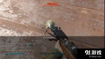 辐射4武器伤害与拾荒技巧解析