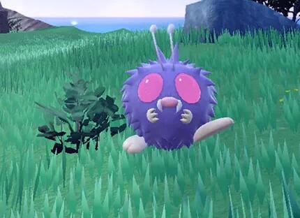 宝可梦朱紫全宝主位置揭秘