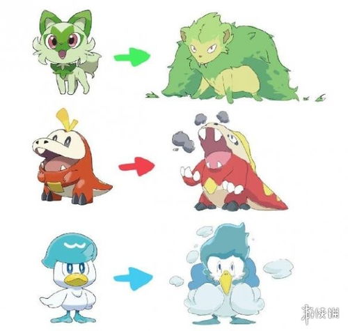 宝可梦朱紫御三家个体值性格刷闪攻略