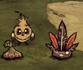 《饥荒》宠物获取攻略:切斯特与咕噜咪召唤技巧 《饥荒》宠物获取攻略:切斯特与咕噜咪召唤技巧