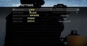 反恐精英：全球攻势PC版菜单截图翻译