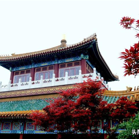 《皇家骑士团重生》路线选择攻略