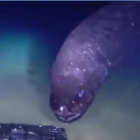 喷射战士3横纲鳞片兑换道具全解析