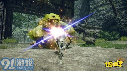 《荒野猎人》物理爆发太刀套装攻略