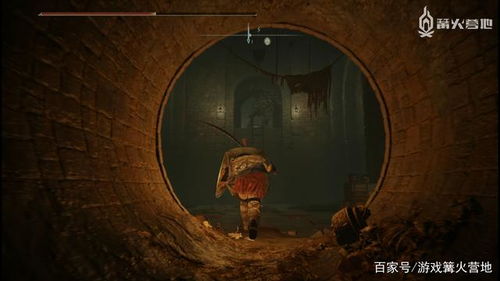 艾尔登法环：规避癫火之王结局关键触发