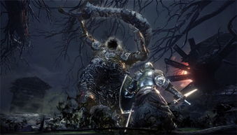 《黑暗之魂3》全戒指攻略：位置与获取方法