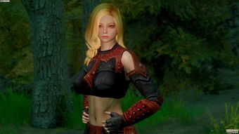 《上古卷轴5》美女MOD下载指南