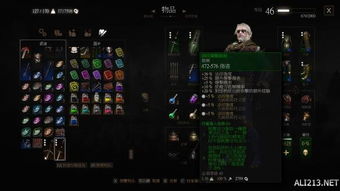 巫师3银剑与钢剑强力遗物武器推荐攻略