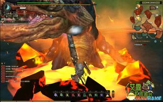 《怪物猎人荒野》1.01铳枪白炽龙生存配装攻略