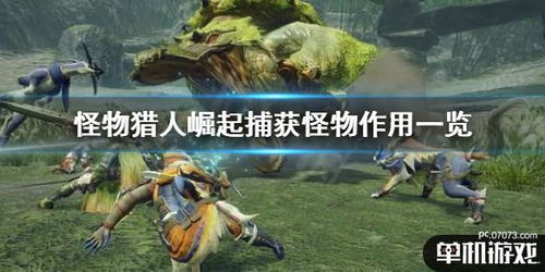 《怪物猎人荒野》白炽龙武器防具强度解析