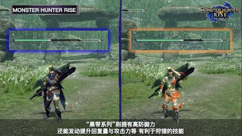 怪物猎人崛起曙光6套大剑毕业配装攻略