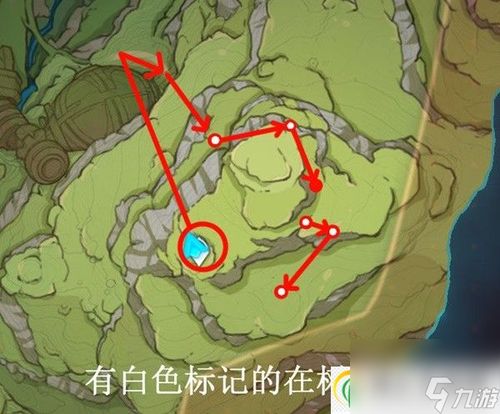 《原神》树王圣体菇高效采集路线指南 树王圣体菇购买点 《原神》树王圣体菇高效采集路线指南 树王圣体菇购买点