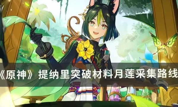 原神提纳里突破月莲采集路线