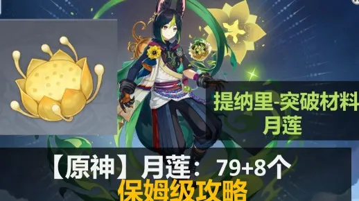 原神提纳里突破月莲采集路线