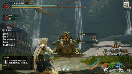 怪物猎人崛起曙光极限速射贯2轻弩核心配装