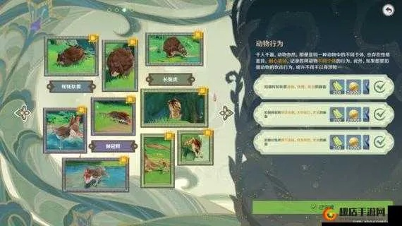 原神掠影拾真全关卡攻略解析