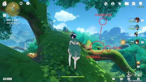 原神寻星之旅玩法揭秘：未来星位置全解析