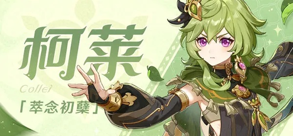 《原神》柯莱圣遗物搭配攻略