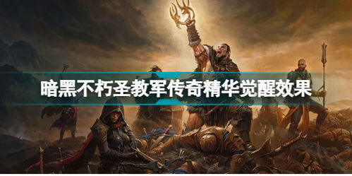 《暗黑破坏神不朽》圣教军激光流玩法深度解析