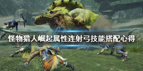 怪物猎人崛起曙光3.0毒属性斩斧流核心配装