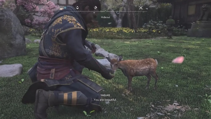 《刺客信条影》宠物收集全攻略，宠物获取方法