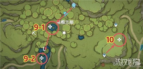 原神月莲高效采集路线推荐 月莲核心获取攻略