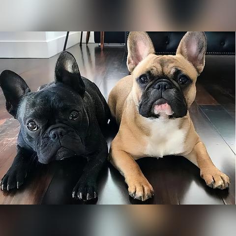 《最终幻想7重制版》新手攻略