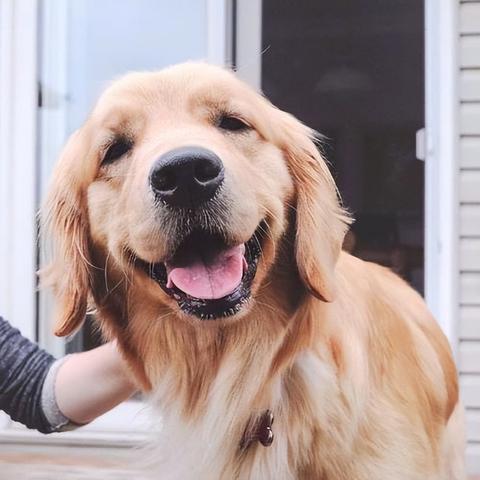 《最终幻想7重制版》新手攻略