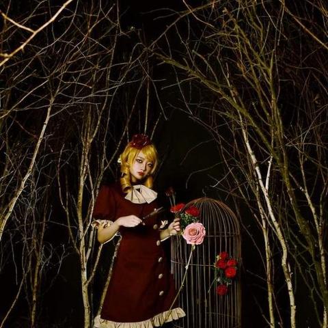 《饥荒》5月8日薇洛更新解析：核心内容一览