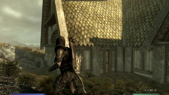 上古卷轴4重制版暗影剑与乌木套获取攻略