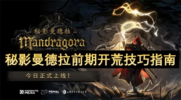 《秘影曼德拉》减伤流装备攻略