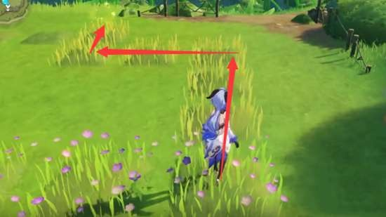 原神桓斯弥利底苗圃解谜攻略