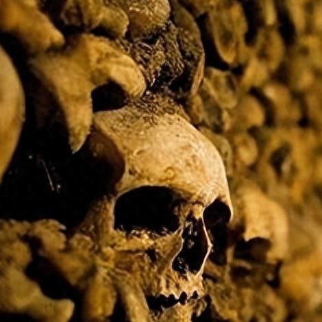 风暴之门一修大师修改器使用指南