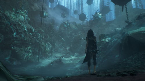 《光与影33号队》阿莉涅暖房唱片获取攻略