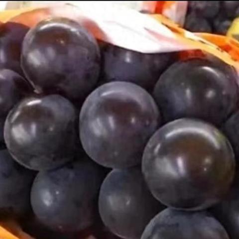 《上古卷轴5生存秘籍大揭秘!独家游戏细节深度解析》 《上古卷轴5生存秘籍大揭秘!独家游戏细节深度解析》