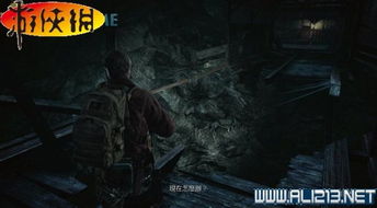 《生化启示录2攻略揭秘:隐藏技巧大公开!》 《生化启示录2攻略揭秘:隐藏技巧大公开!》