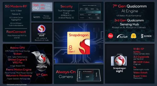 《原神》5.6新版本揭秘：神秘五星爱可菲即将登场！