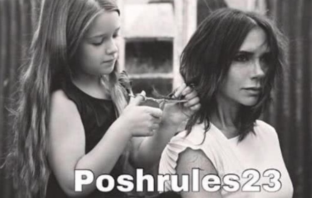 《揭秘！克莱雅如何轻松获得33号远征队扯妹妹头发唱片》