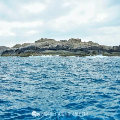 《怪物猎人世界》全收集攻略:揭秘隐藏任务与神秘鱼类盘点! 《怪物猎人世界》全收集攻略:揭秘隐藏任务与神秘鱼类盘点!