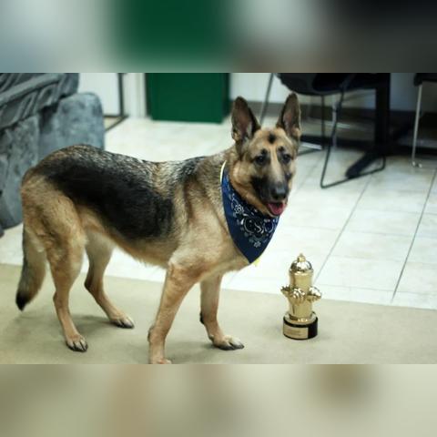 《辐射4》装备大揭秘：防具图鉴+饰品全解析，独家攻略！