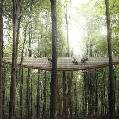 《上古卷轴5天际攻略秘籍：揭秘隐藏任务与奇遇》