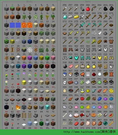 《揭秘！《我的世界》地图种子代码，独家攻略等你来寻》