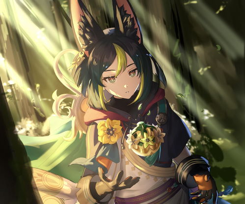 《原神》提纳里突破攻略：揭秘高效获取材料秘籍！